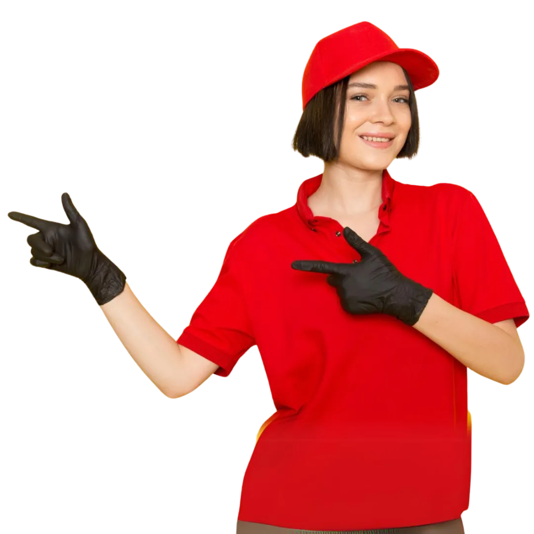 Professional Cleaners